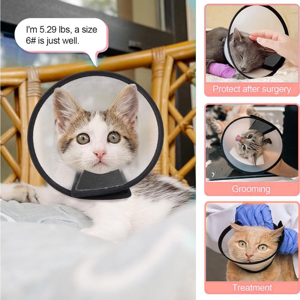 Adjustable Cat Cone