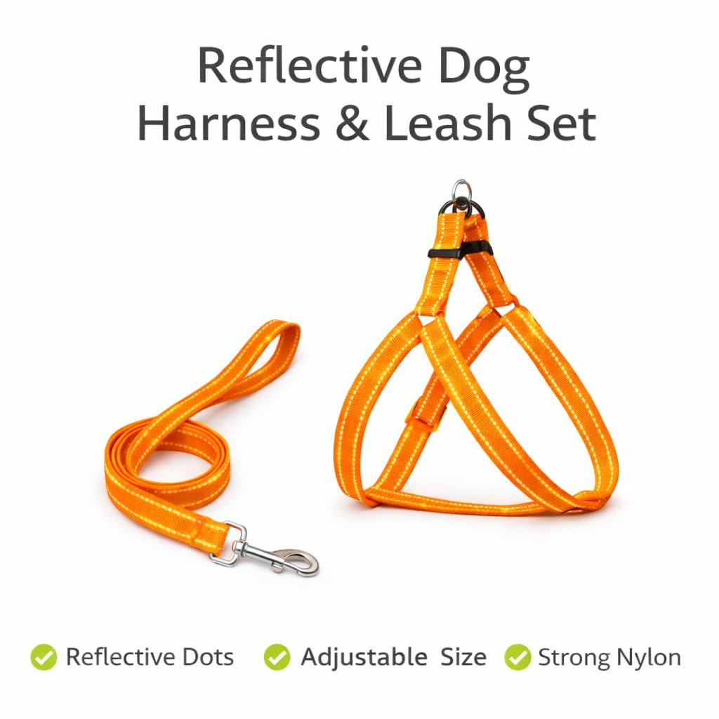 Dog Harness and Leash Set