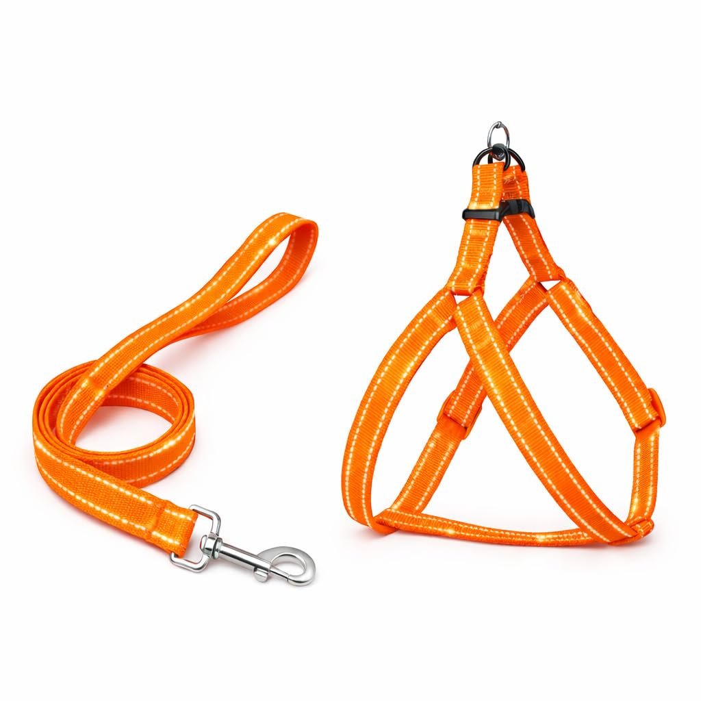 Dog Harness and Leash Set